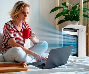 Starlyf Cold Air a 349 PLN